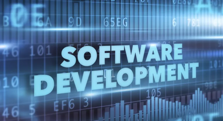 software development