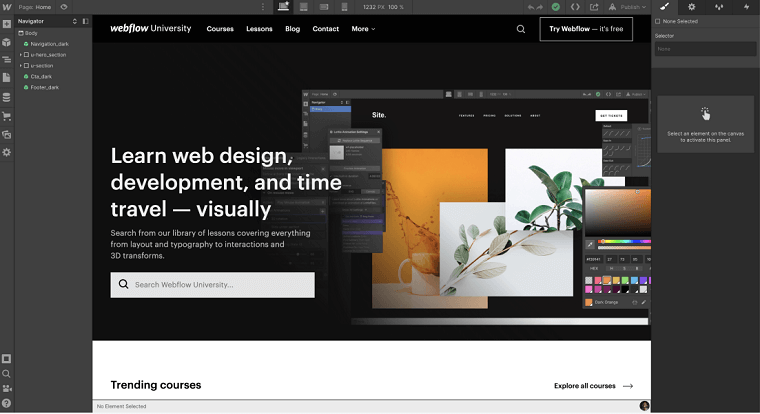 website development services
